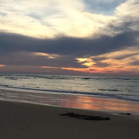 Barracuda Style Apartment