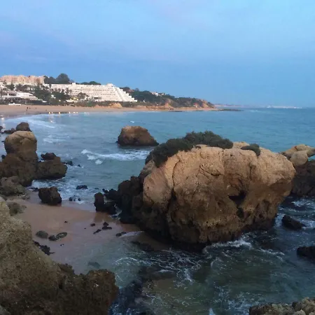 Barracuda Style Apartamento *