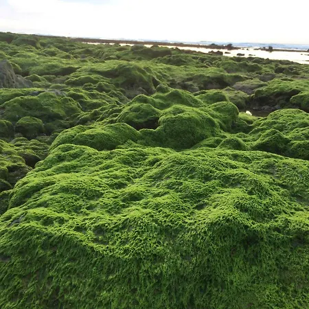 Apartment Barracuda Style *