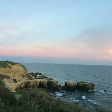 Apartment Barracuda Style