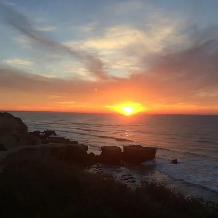 Barracuda Style Apartment