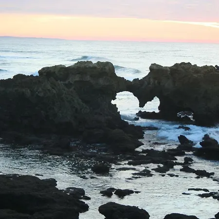 Apartment Barracuda Style