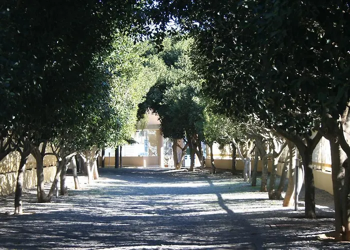 Barracuda Style Albufeira