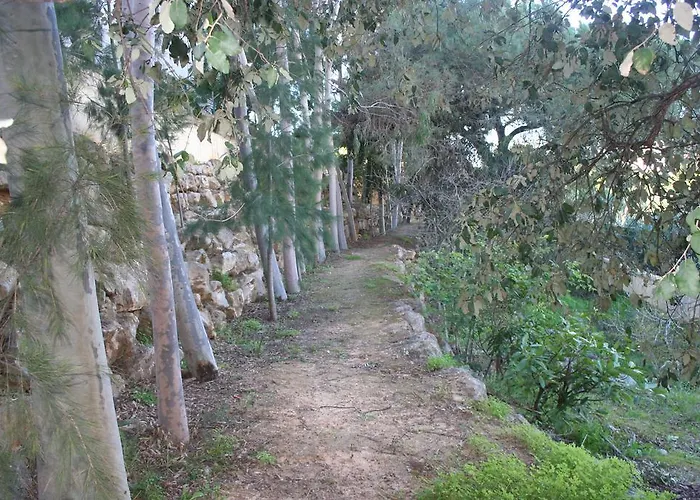 Barracuda Style Apartamento *