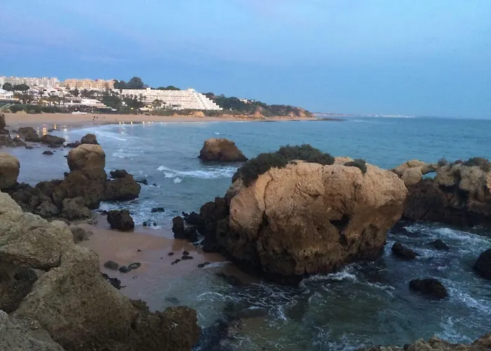 Barracuda Style Apartamento *