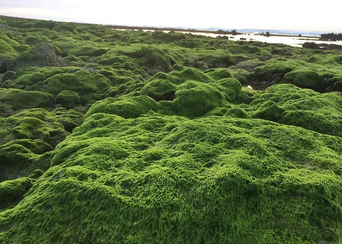 Apartment Barracuda Style *