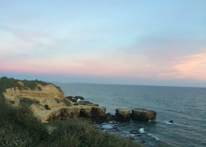 Apartment Barracuda Style