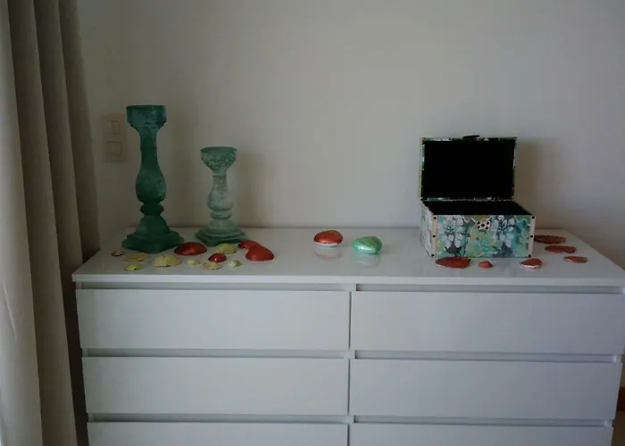 Apartment Barracuda Style