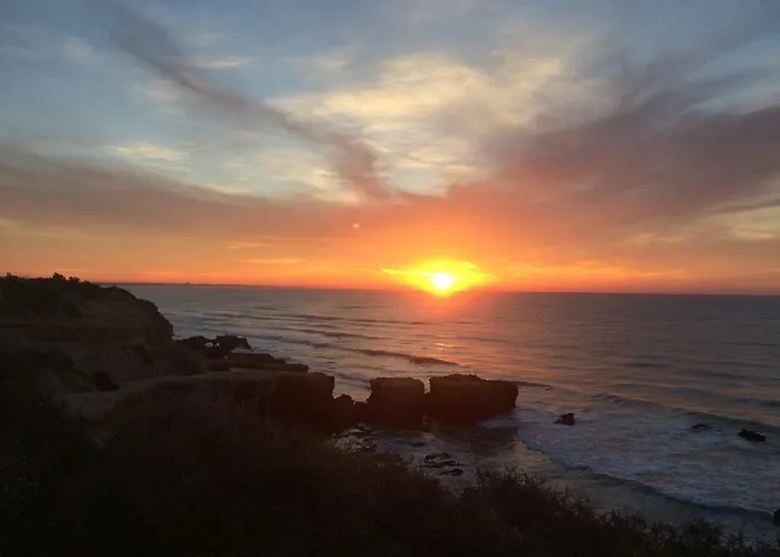 Barracuda Style Apartment