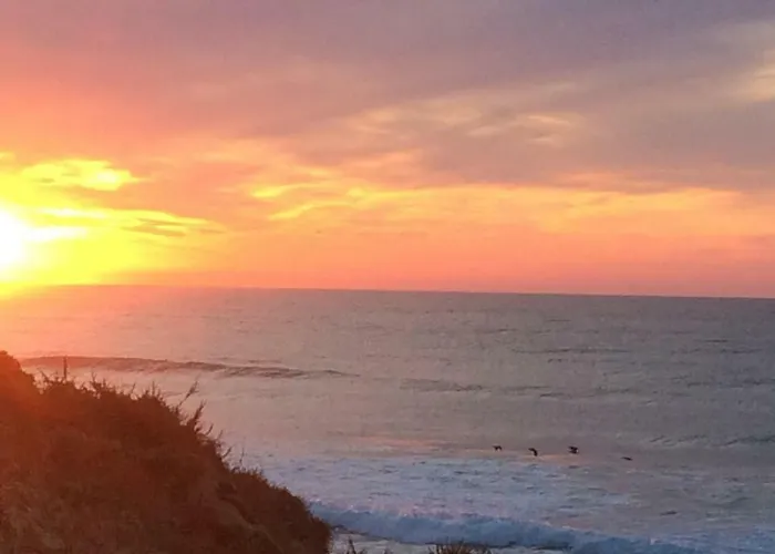 Barracuda Style Apartment *