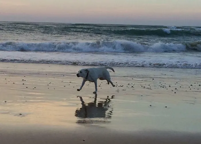 Barracuda Style * Albufeira